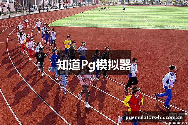 知道Pg模拟器